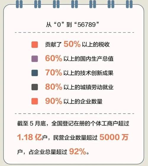 数据剧场｜从“56789”中看山东民营经济发展密码