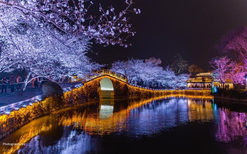 2025年4月 第255页