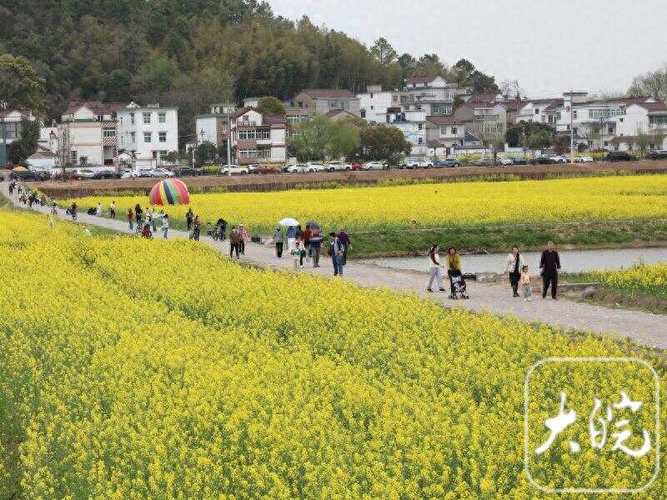 芜湖三山响水涧油菜花季节#欢乐芜湖春天有约