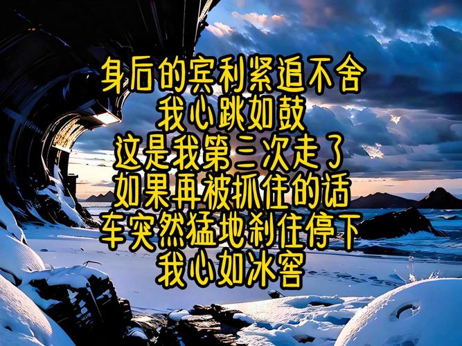 返程之旅 小马拉大车一路是心惊肉跳，还把我冻的半死