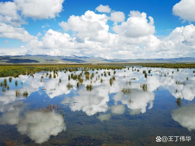 #若尔盖风景图#甘南若尔盖花湖草地风光 红原旅游#