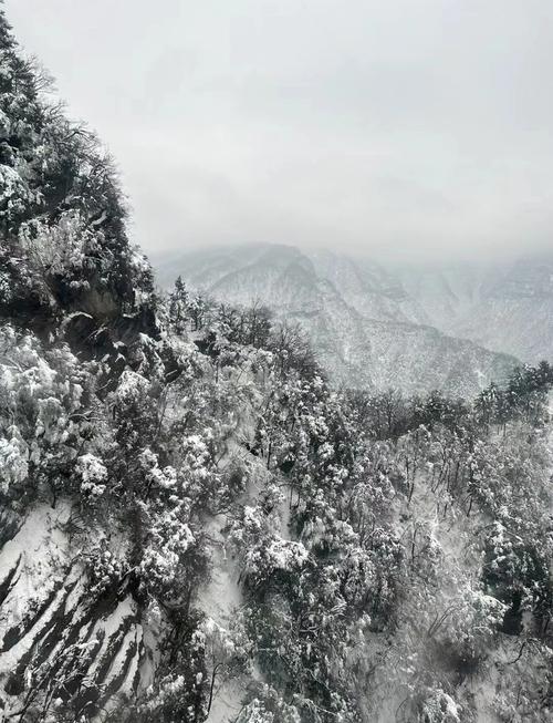 实拍！汉中多地迎来降雪！