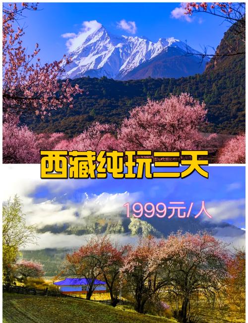 去林芝看桃花吗？别错过易贡藏布❗