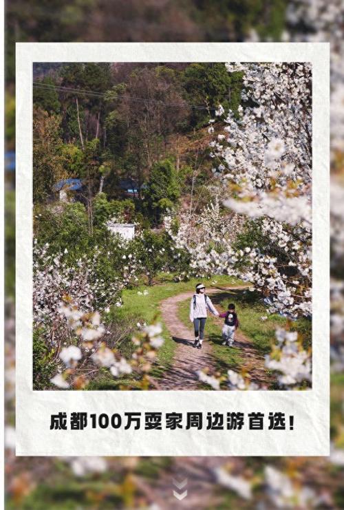 成都周边1h，被问爆的春日花田徒步，0门票、超小众、很出片！