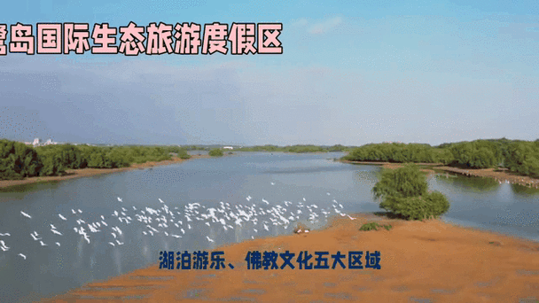 3月28日开园！白鹭洲解锁新疆春日顶流：沙海相间，错过等一年！