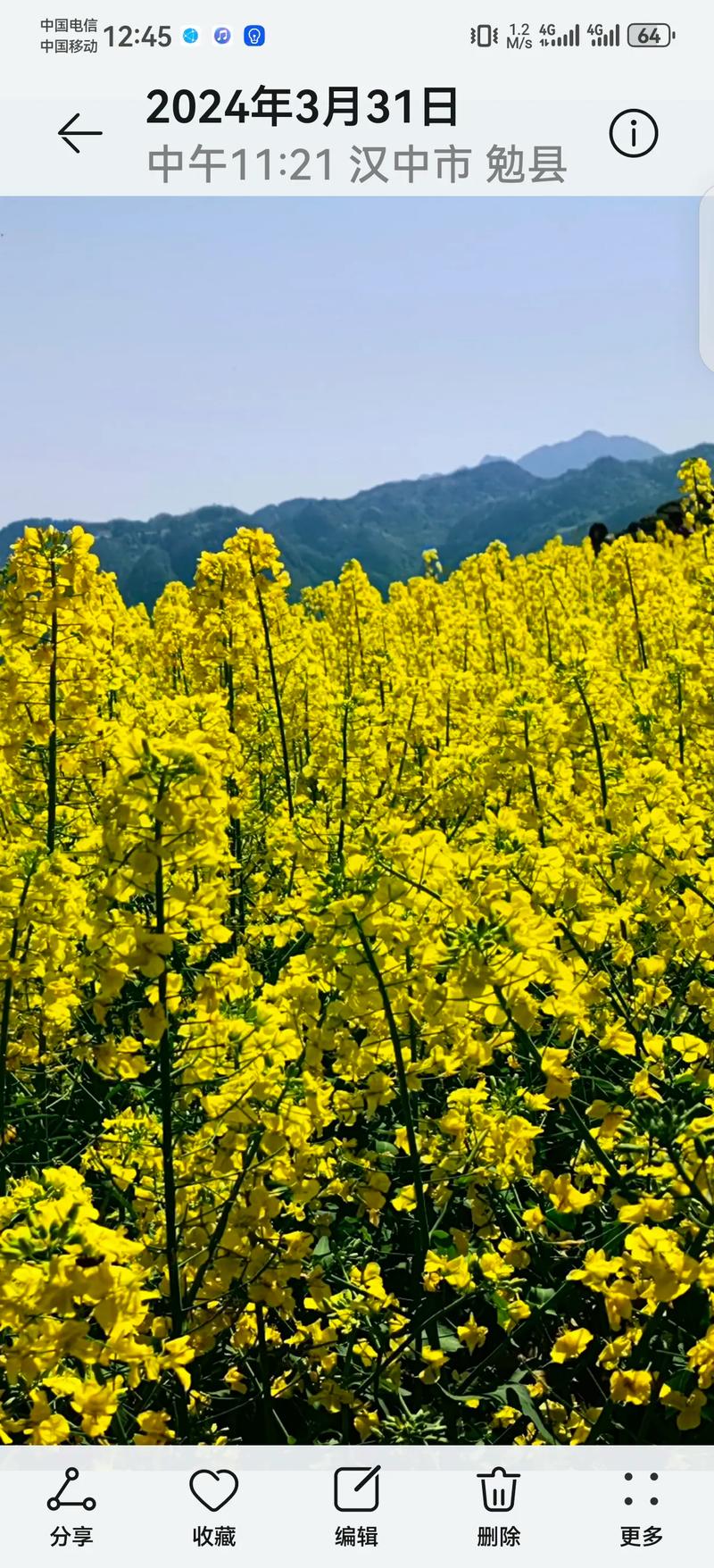 2025年4月1日 第3页