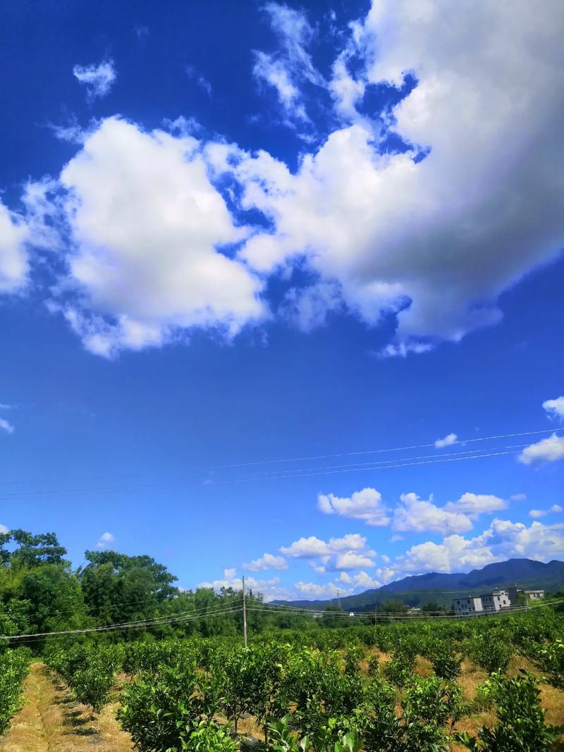2025年4月2日 第14页