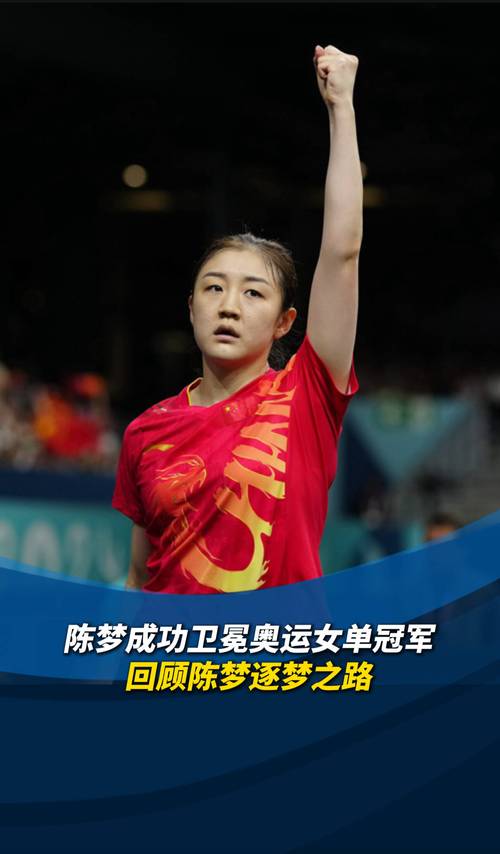 2013年全运会山东19岁的小将陈梦成为黑马闯进决赛