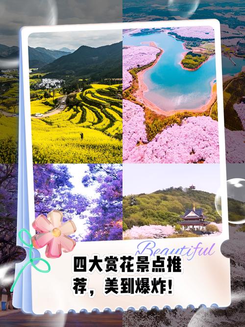 清明假期去哪儿看花？快来打卡五彩斑斓的四川 互动H5