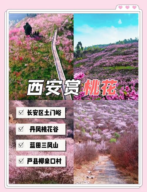 春日游临潼，看骊山翠影与花海的梦幻联动~