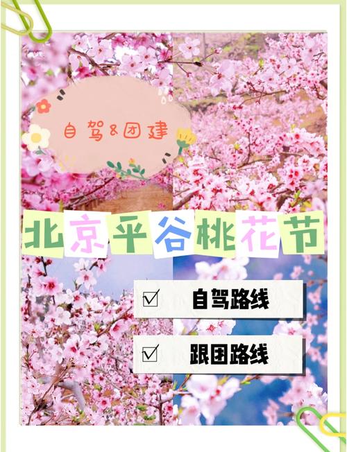 清明节假期去哪里踏春赏桃花，攻略来了！