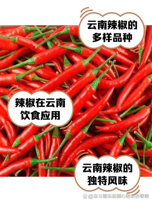云南，隐藏的吃辣大省