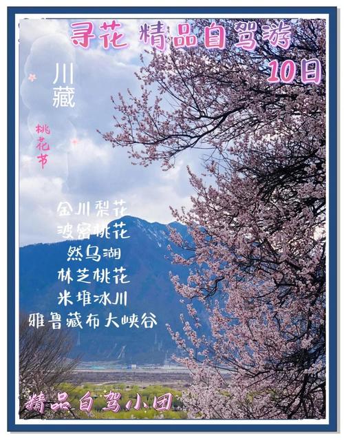桃花映春：一场美的盛宴