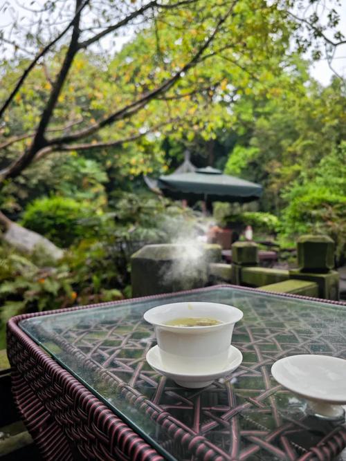 逍遥游：在“小成都”的三江汇流处喝茶