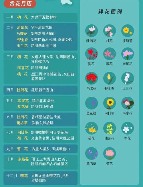昌邑赏花季！昌邑春日追花地图上线→