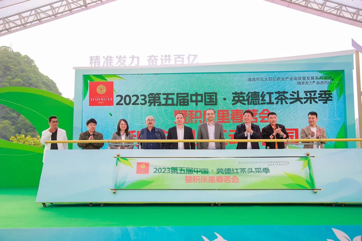 科技创新，奋进百亿！2025年英德红茶头采季活动盛大启幕