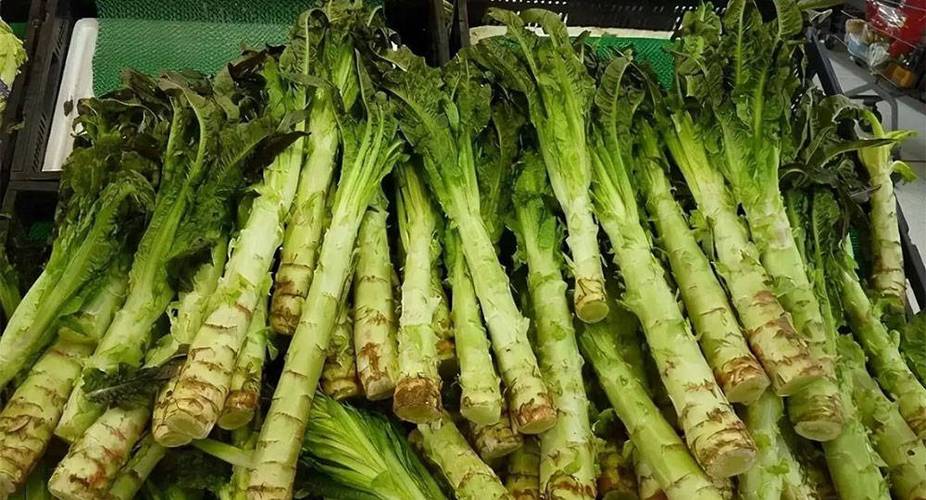 4月大量上市，1元1斤，遇到买20斤晒干炒肉吃，比新鲜的好吃多了