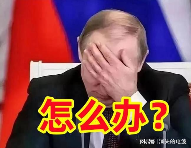 普京究竟做了什么？为何会这样说-今日头条