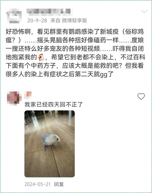 路边遇到这种诡异姿势的，别碰！赶紧远离！