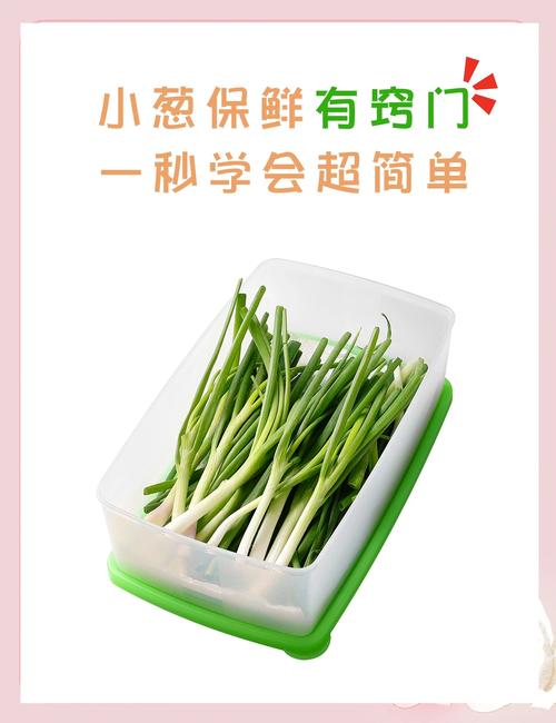 香葱买多如何保存？教你一招，放1年和新鲜一样，太实用了