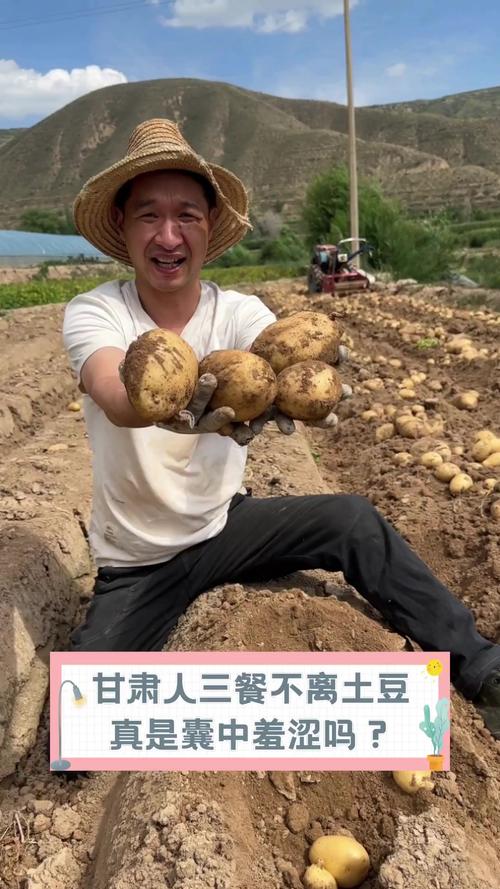 2025年4月19日 第6页