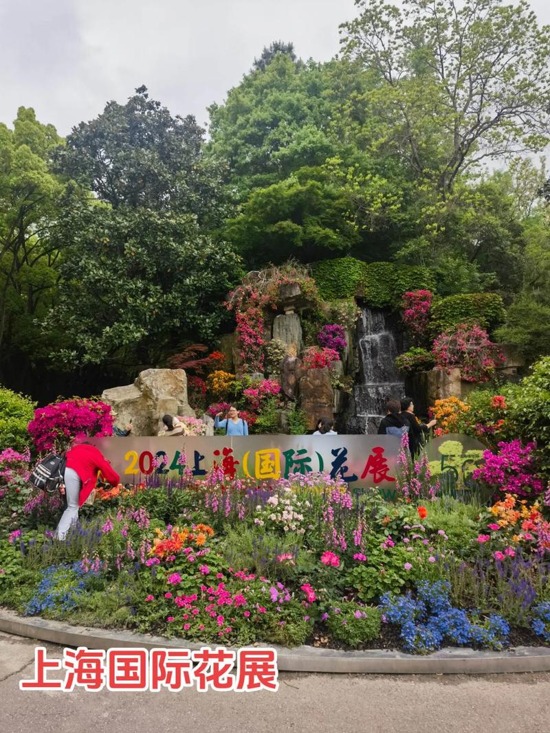2025上海国际花展，上海植物园主会场之一4.18~5.11