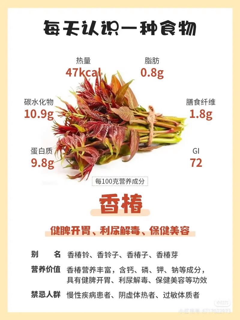 冬天也能炫香椿？三招锁鲜秘籍快收好