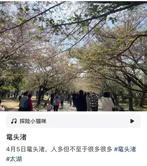 爆红预警！大批无锡人将涌入…