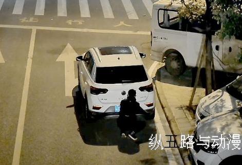 用口罩故意遮挡号牌，济南一“蒙面”车辆被处罚