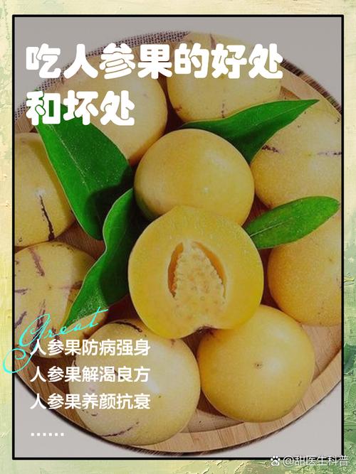 美食 第24页
