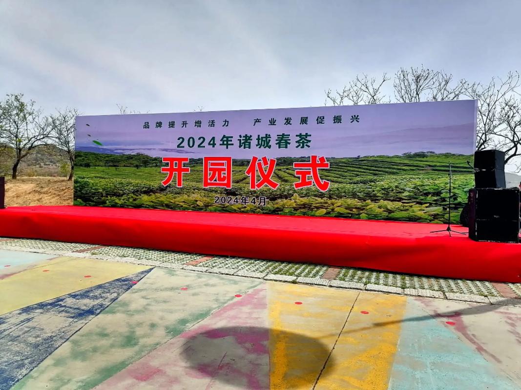 茶香润龙城！潍坊诸城春茶开园，绿茶啤酒惊艳亮相