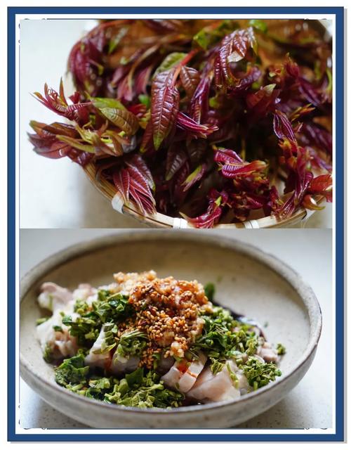 春味暴击！香椿芽拌白肉｜神仙搭配炫到停不下来