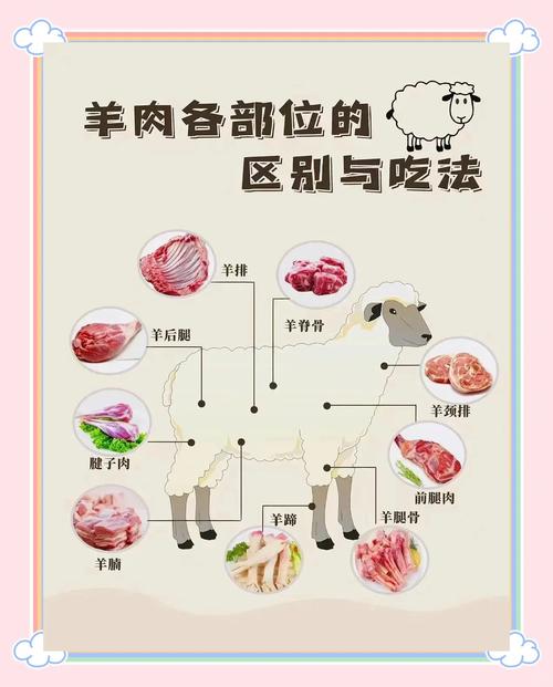 调查了解：春天经常吃羊肉的人，不出2个月，身体或有这几个变化