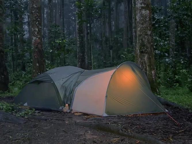 ?太棒了?在森林深处露营，被困在暴雨和雷暴中