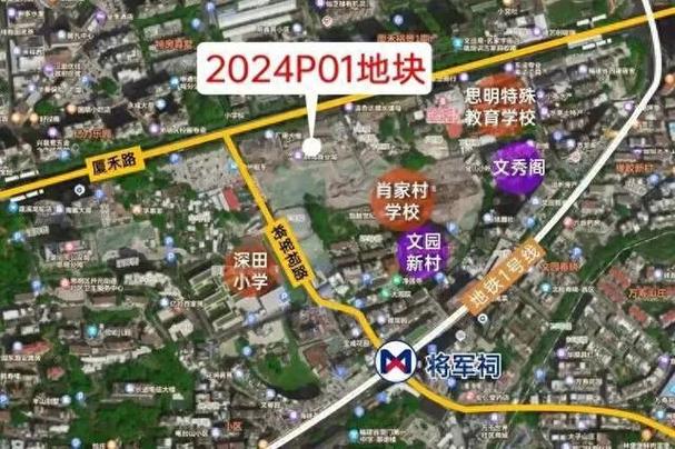 2025年4月25日 第8页