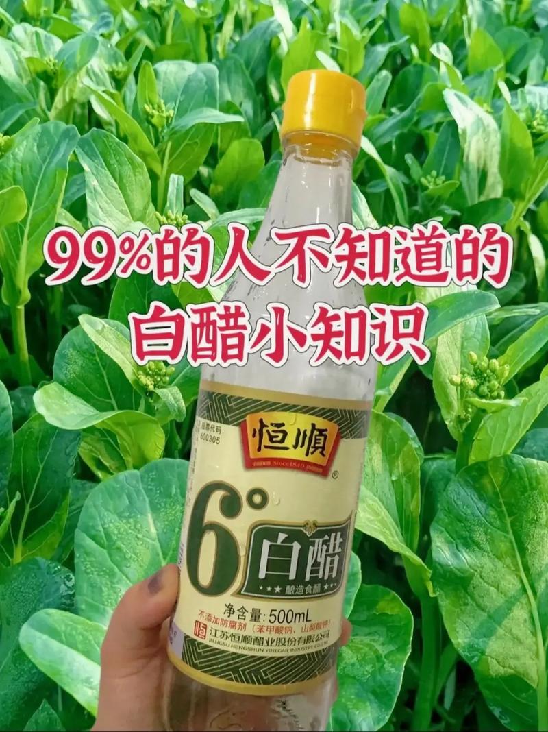 2025年白醋前十排行榜新鲜出炉，别错过，你家厨房用的醋上榜了吗