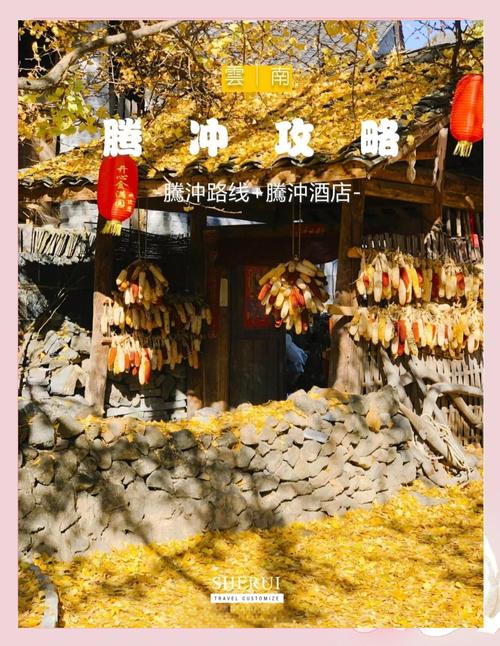 2025年4月25日 第5页