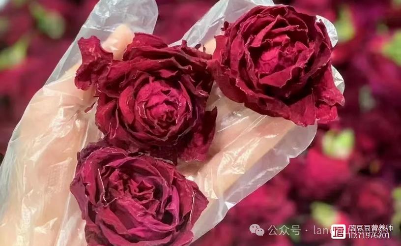 万万没想到，玫瑰花这样喝，一周3次，脸上干净又细腻，小肚子也消失了