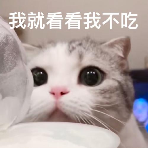 几天不吃就馋了?