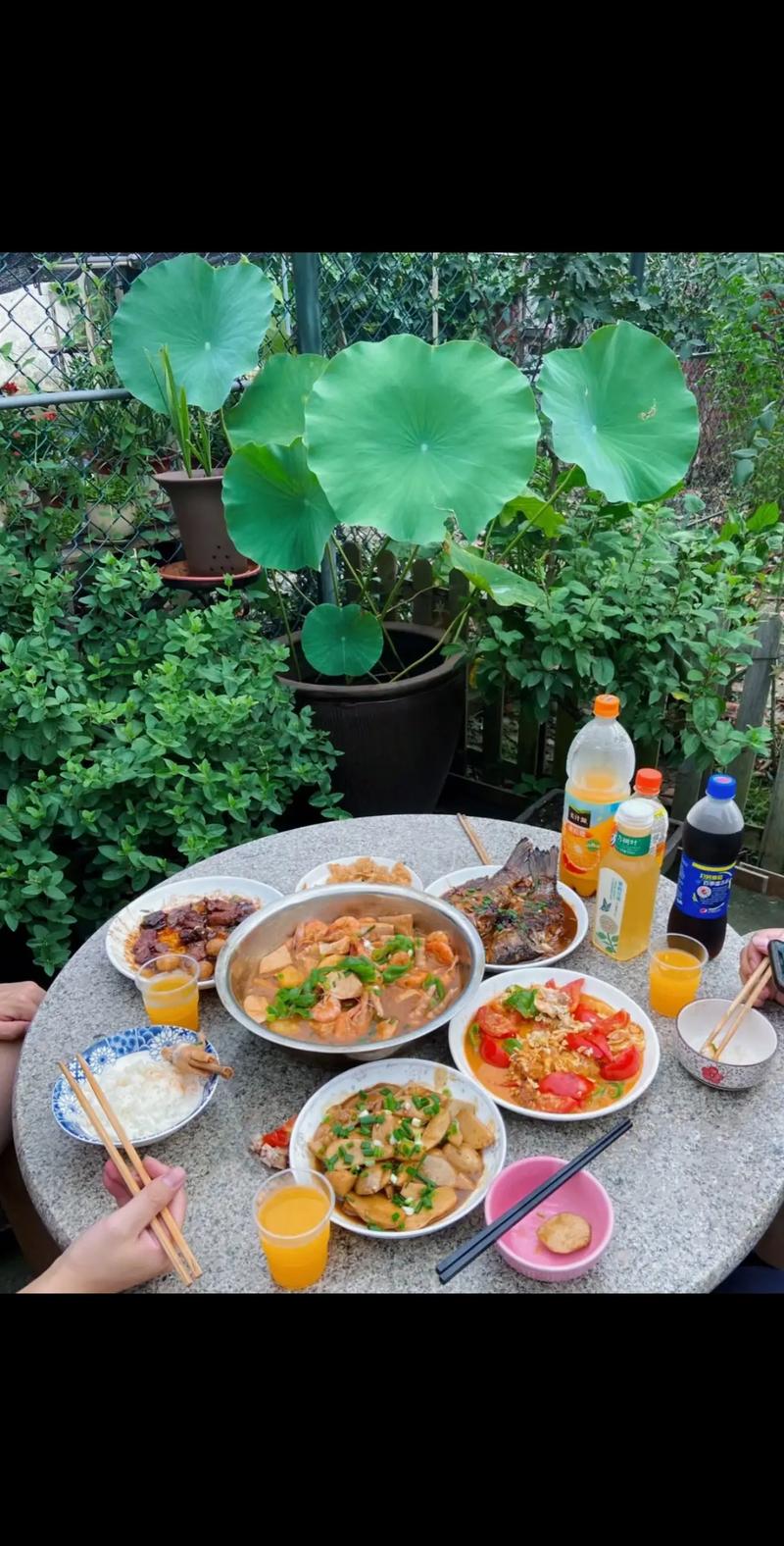 立福最近伙食没治了，今天火锅吃上了，媳妇忙一下午，炖的太香了