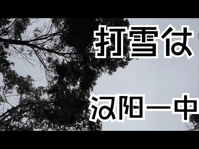来黄陂过五一｜免费！在30°C的初夏打雪仗！