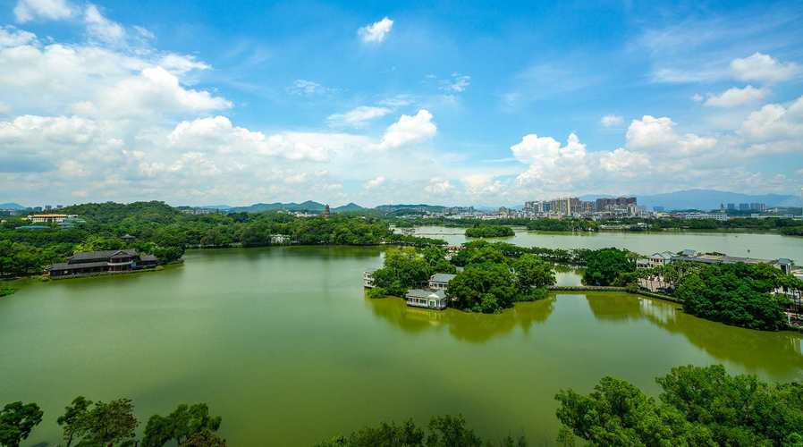 惠聚美好 惠州西湖的水上花园和水下森林