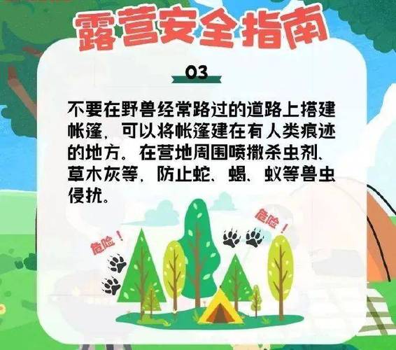 五一假期，露营安全小贴士请收好