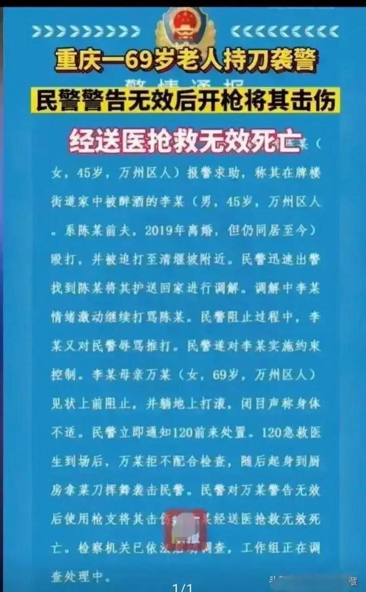 民警怕误伤嫌犯母亲未开枪-全面释义、专家解释与落实与警惕虚假宣传
