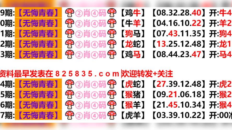 2024今晚澳门开什么号码,最佳精选-全面释义、解释与落实与警惕虚假宣传