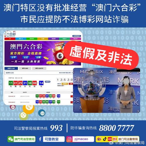 2025新澳门最精准免费大全,全面释义、专家解释与落实与警惕虚假宣传