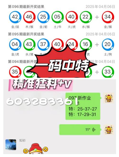 2024新澳门今晚开奖号码结果,全面释义、专家解释与落实与警惕虚假宣传