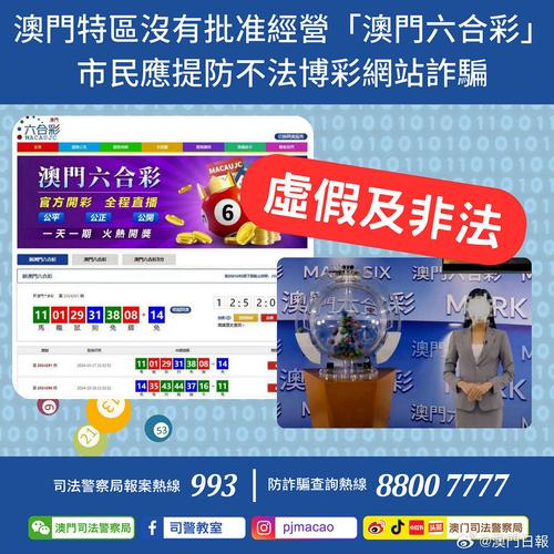 2024新澳门今晚开奖号码和香港295期,全面释义、专家解释与落实与警惕虚假宣传