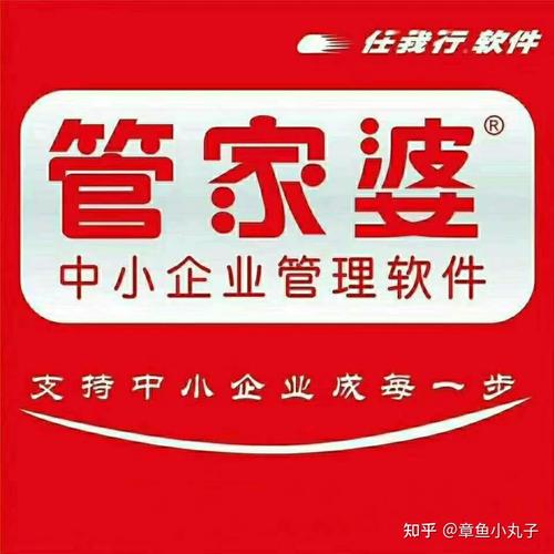 管家婆正版管家,全面释义、专家解释与落实与警惕虚假宣传