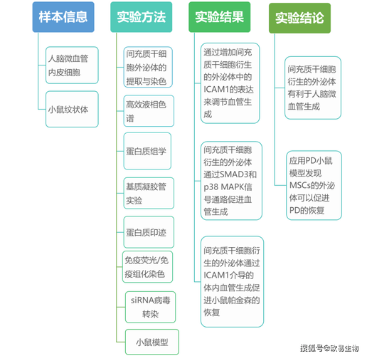 2025年新奥正版资料最新更新六,全面释义、专家解释与落实与警惕虚假宣传